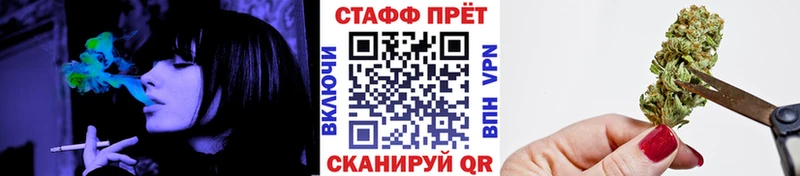 МЕФ Алейск